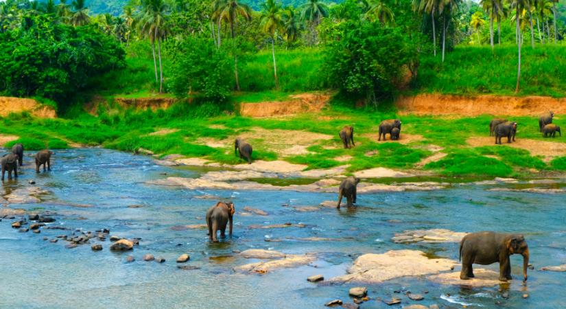 6 érdekes dolog, amit talán te sem tudtál Srí Lankáról