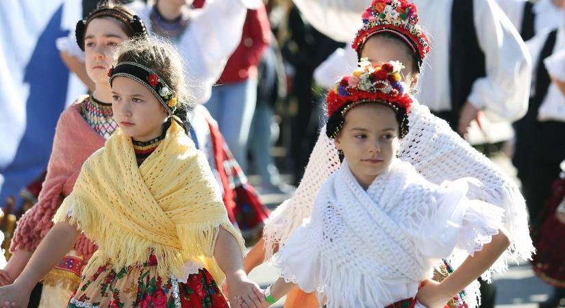 Olvasóink szerint ezek a legszebb magyar szavak – a magyar nyelv napját ünnepeljük