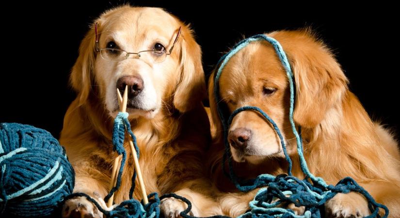 11 trendi „retro hobbi”, amit újra menővé tett a Z generáció