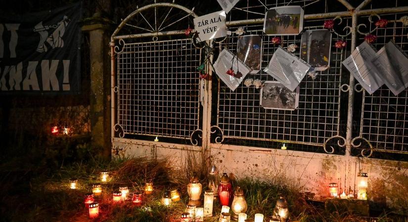 Egy éve kezdődött a csöngei és kőszegpatyi horrortanyák felszámolása – állatvédők gyújtottak gyertyát a csöngei háznál