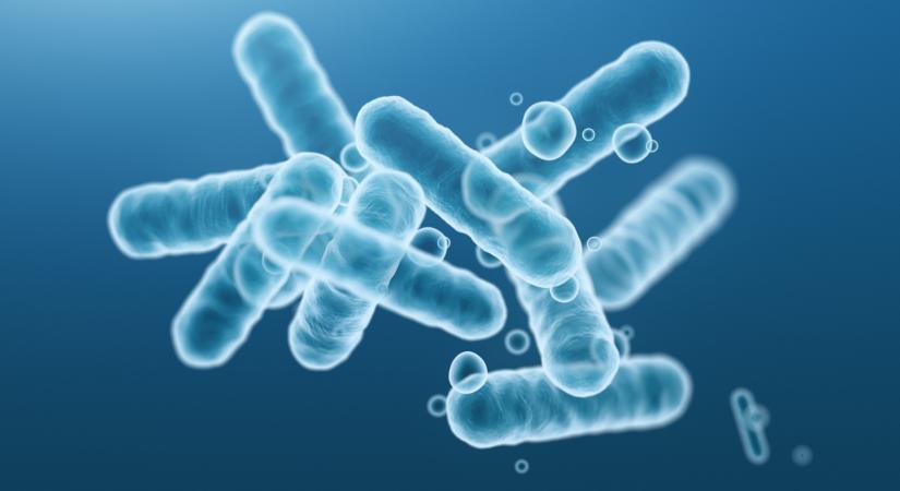 Megdöbbentő részletek derültek ki a budapesti tömeges ételmérgezésről: ez okozhatta hatszáz gyerek megbetegedését