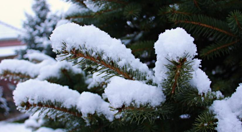 Megérkezett az előrejelzés: napokon belül megmutatja magát a tél