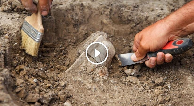 DNS-mintát adtak egy magyar falu lakói, valami felfoghatatlan eredmény született