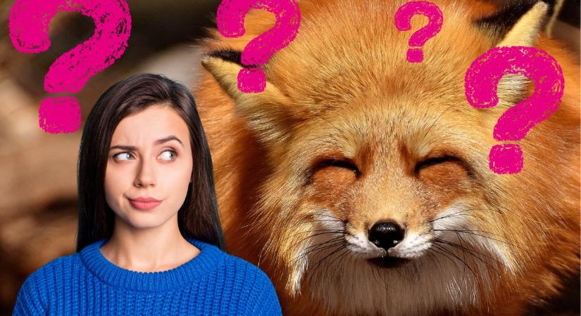 Te is a legjobb 4 százalékba tartozol? Töltsd ki az élővilágkvízt, és kiderül!