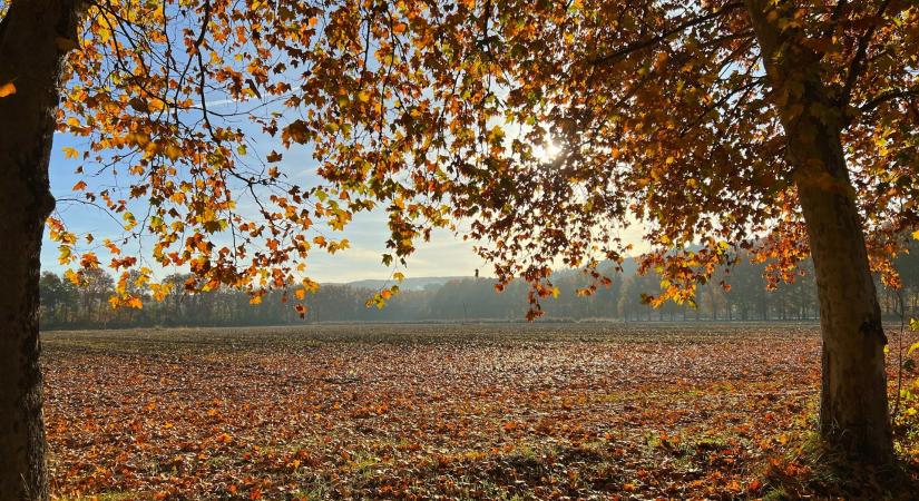 Friss időjárás, november 14.: Nem úgy alakul az idő, ahogyan szeretnénk