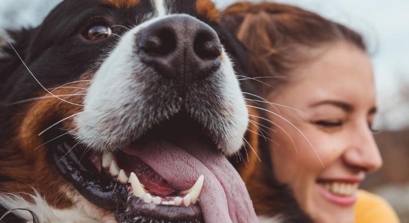 Ilyen jó hatással vannak az állatok a mentális egészségre – Hogyan tesznek boldogabbá?