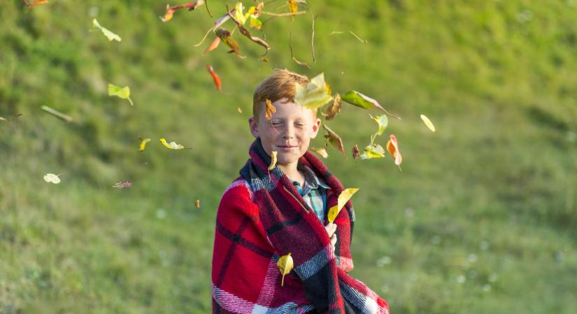 Délután megélénkülhet a délies szél