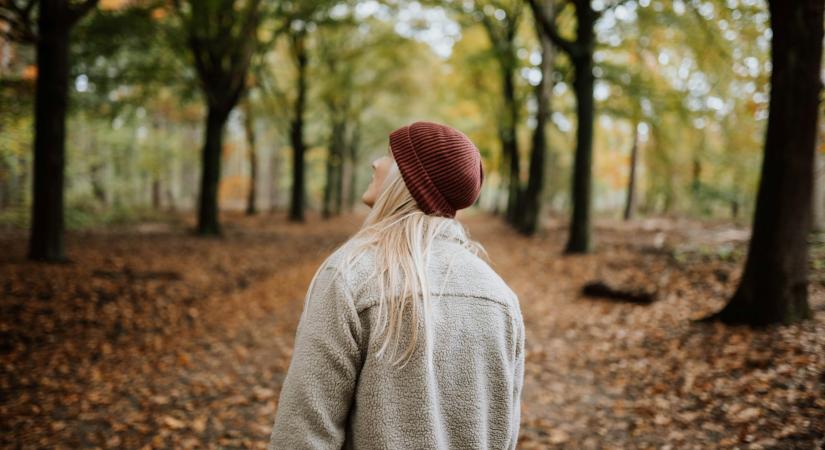 Ezt hozza 2025. november 14. a numerológia szerint – Lassítás és a szívedre való figyelés