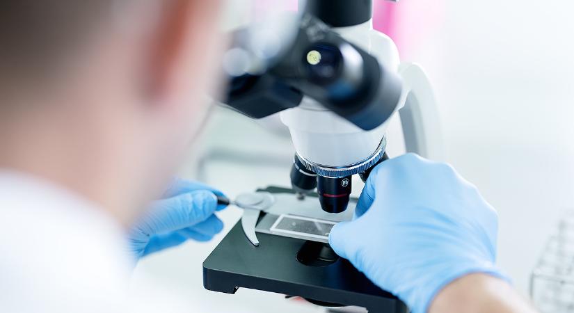 Egy apuka nem tudta kivárni, kivizsgáltatta, mitől betegedett meg gyermeke több száz társával együtt