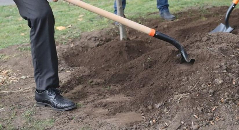 Az utóbbi évtizedek legjelentősebb beruházása indul a baranyai városban