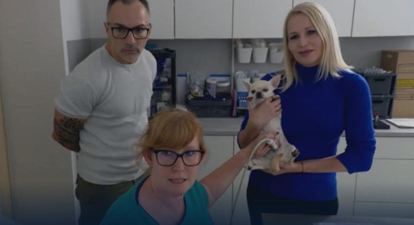 Házasság első látásra: Miló Viki kutyaultrahang-vizsgálatra vitte Attilát