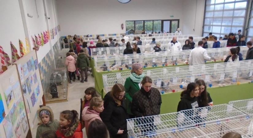 Érdeklik a különleges baromfik? Itt megnézheti őket