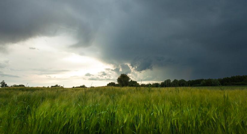 Agrometeorológia: jelentősebb csapadék kellene a talajok töltődéséhez