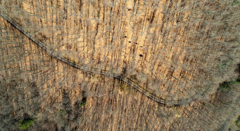 Ősz az erdélyi Hargita megyében