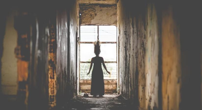 Miért szeretjük a félelmet? – A horror biológiája és a túlélés ösztöne