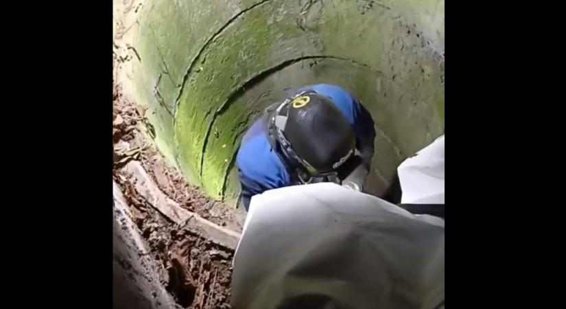 Kútba esett cicához hívták a tűzoltókat – A mentésről videó is készült