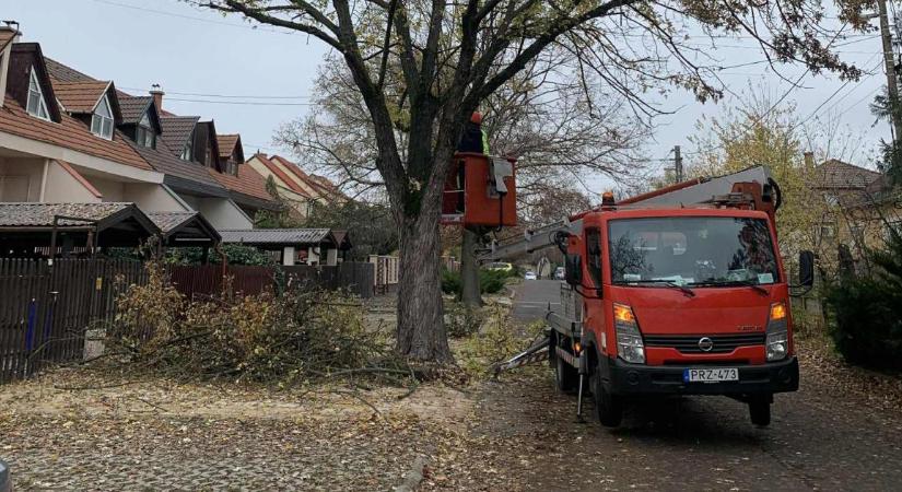 Folytatódik a gallyazás Debrecenben