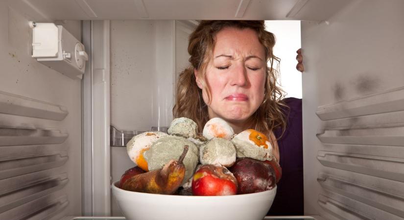 Sokkoló, gyomorforgató bűz - na, de mégis mit tehetnek a lakók?