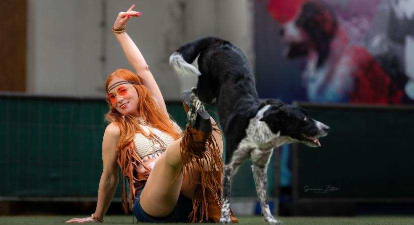 Programajánló Vasból: Mr. President és Jolly után jönnek a táncoló kutyák is