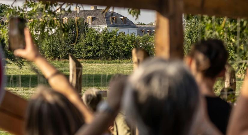 Hadházy Ákos Pécsről indít buszos kirándulást a „Felcsút-Alcsút-Hatvanpuszta aranyháromszögbe”