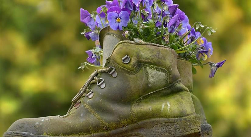 A 15 perces esti rutin, ami megmenti a kerted tavaszra