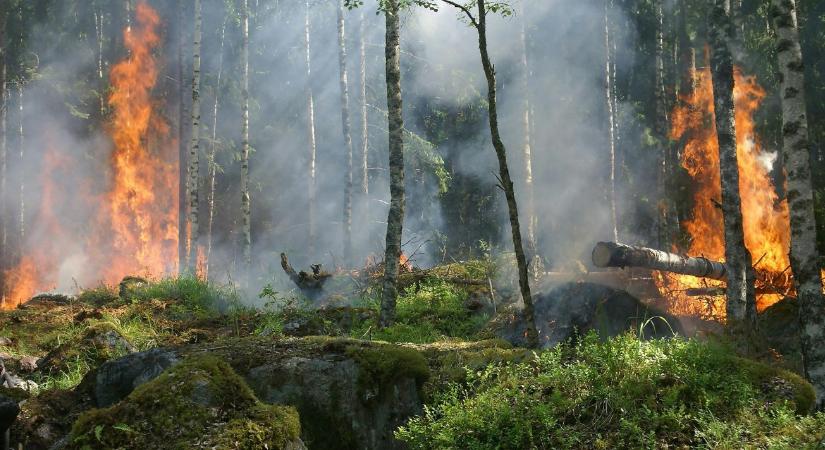 Magyar professzor: a klímaváltozás nem úgy van