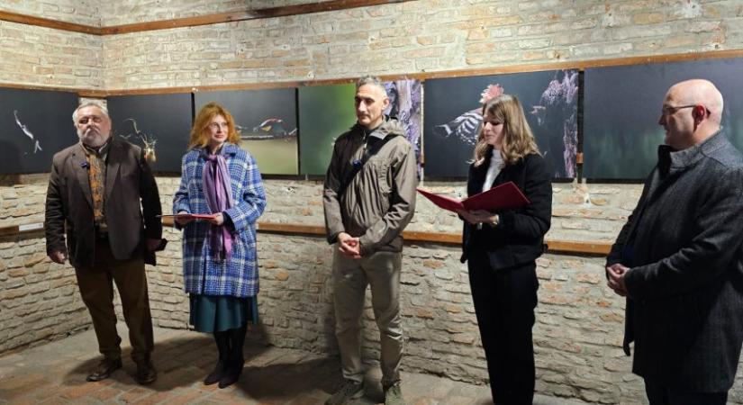 Magyarnak lenni Nagyszebenben