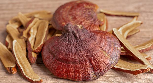 Tényleg valódi gyógygomba a ganoderma?