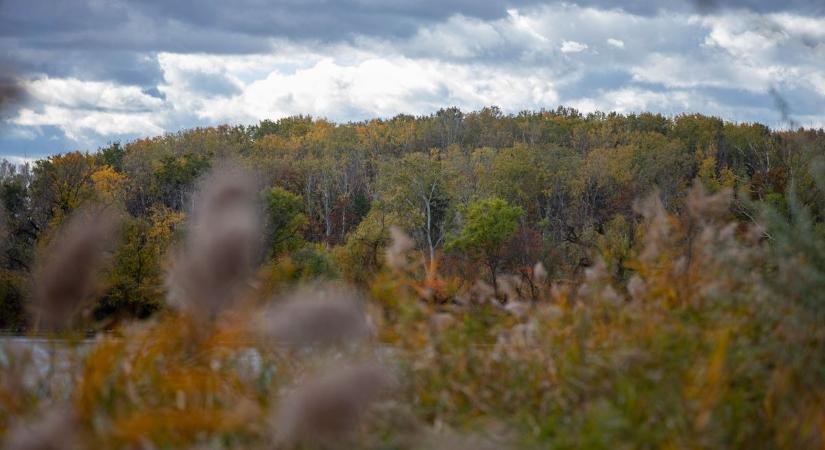 A várható hidegfront előbb meleg levegőt, majd csapadékot és erős szelet hoz Kecskemét térségébe