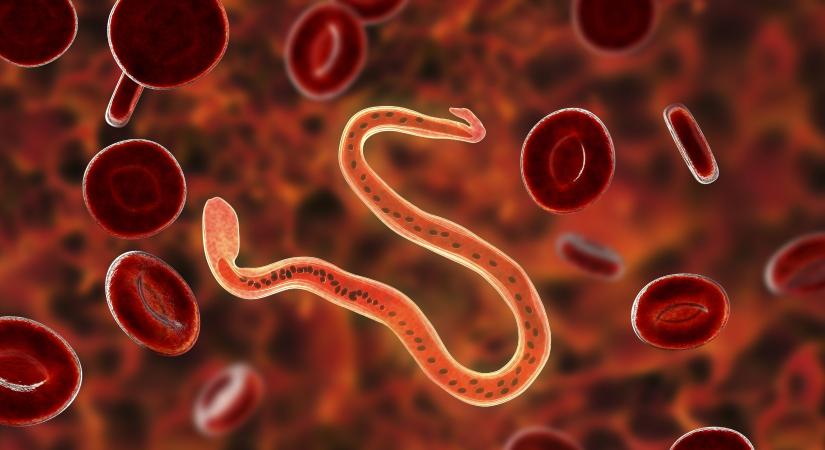 Vizsgálják a Google-t a parazita SEO miatt