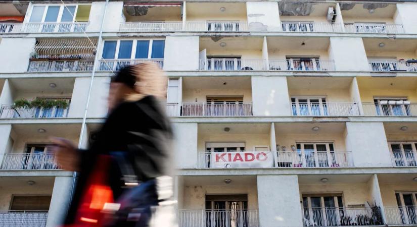Forradalom az albérletpiacon: zuhanóban a bérleti díjak, Szekszárd kiemelten érintett