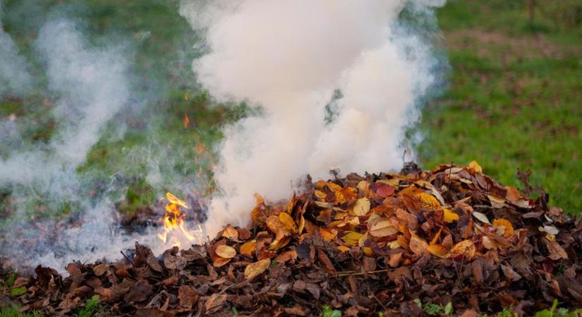 Amit a füst rejt: az avarégetés rejtett veszélyei