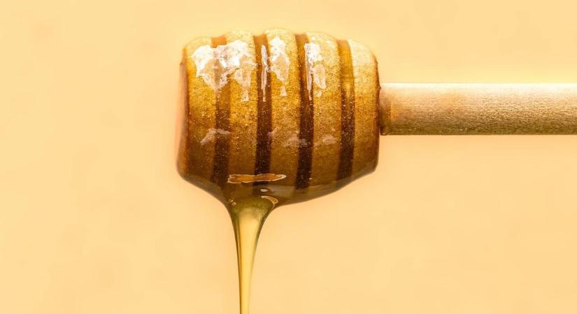 Elindul az országos Mézes Reggeli program, itt vannak a részletek!