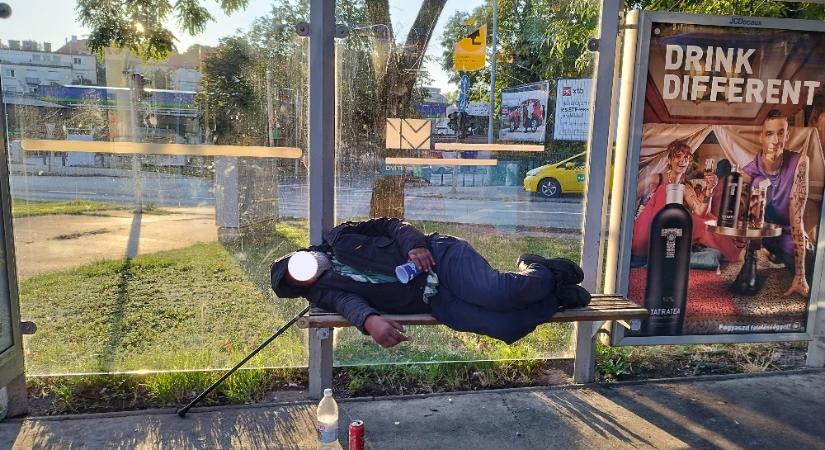 Liberális paradicsom: rendetlenség, káosz, csőd