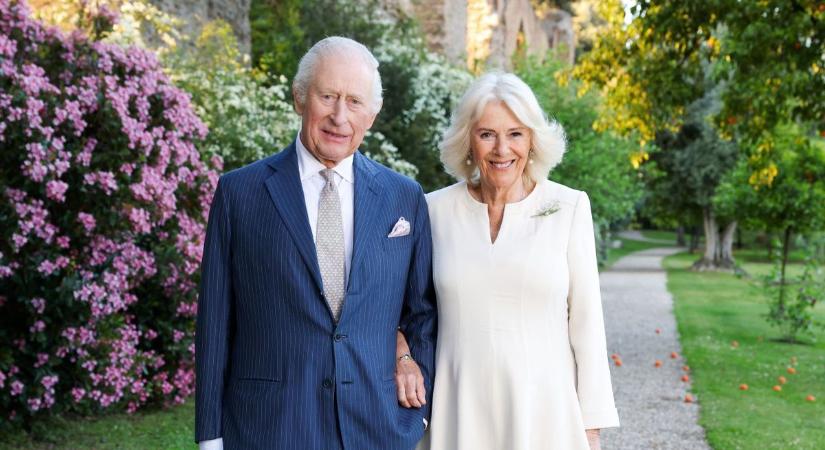 Királyi család: bőrrel borított vécéülőkét kapott Károly