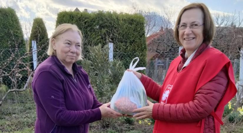 Zöldellő Kertek program: önellátásra ösztönöz