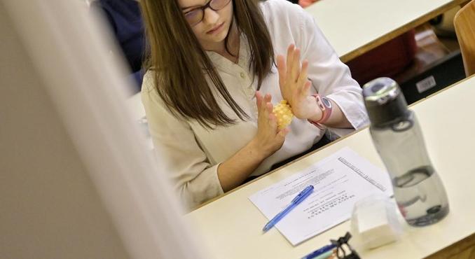 Itt nézhetitek meg, melyik iskolákban írhatjátok meg a központi írásbeli felvételit