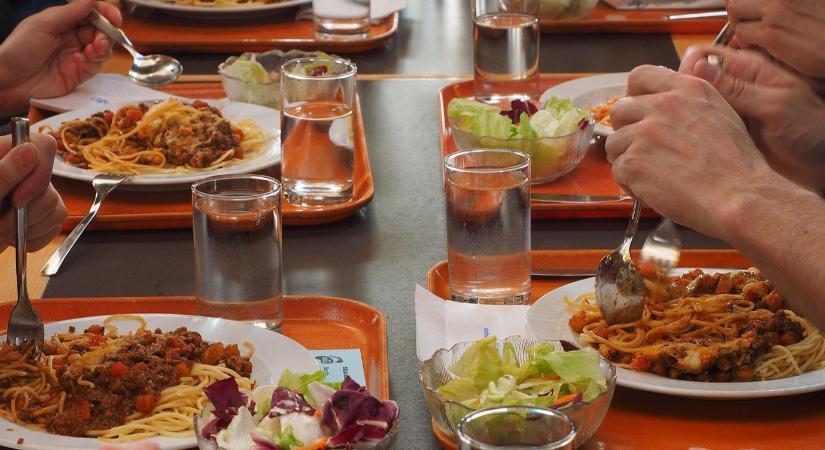 Székletmaradványokkal terjedő vírust mutattak ki az óvodai ételmérgezés egyik érintettjénél