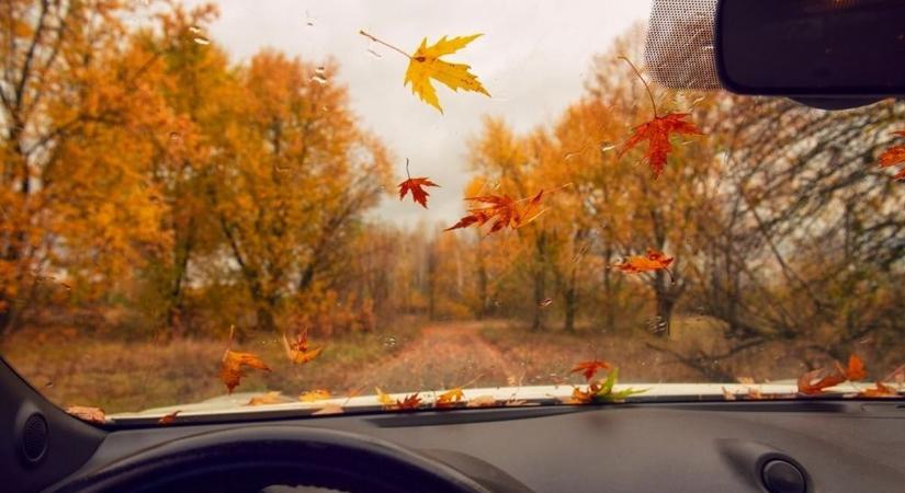 Készülj a holnapi napra Szegeden – így alakul az időjárás!