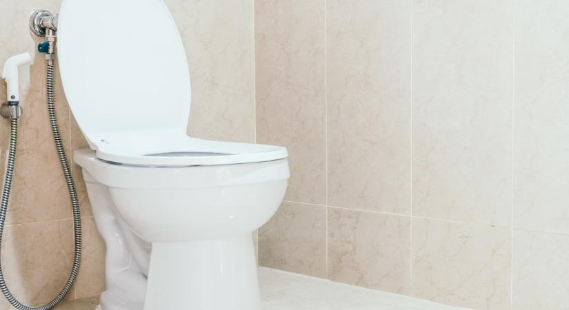 Rémisztő állat jelent meg a magyar vécékben, ami felkúszik a csöveken keresztül