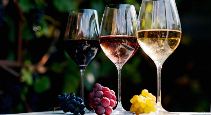 Lejtmenetben a magyar borászat? Mentőövet dobnak a termelőknek