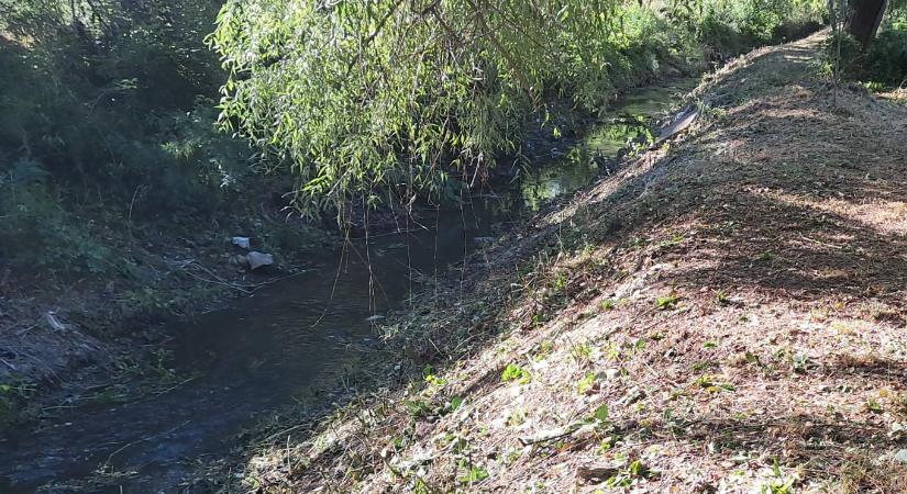 A patakpartra horda a lakásfelújításból származó törmeléket – Megbüntették