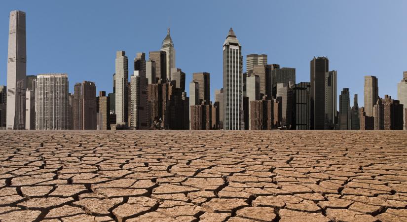 Hatalmas vagyont mozgósítanak a Rockefellerek, Bill Gates és társaik - Egyetlen céljuk van