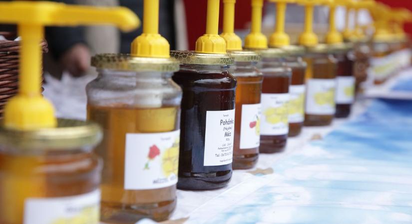 Édes fehérvári program