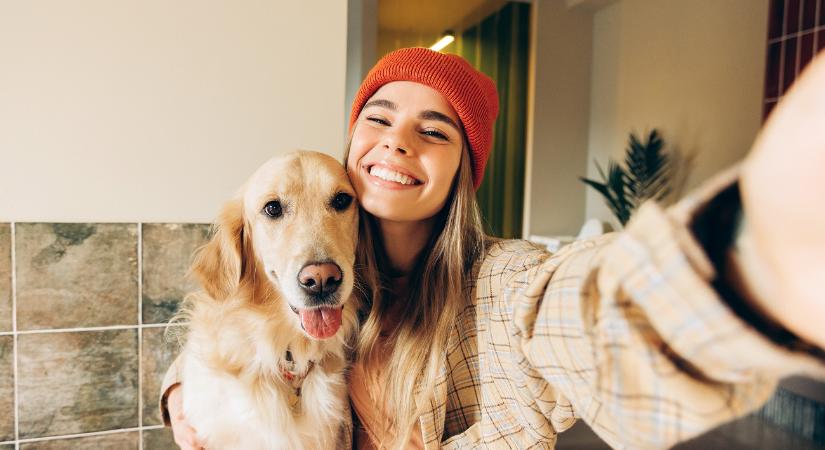 7 intelligens kutyafajta, mint tökéletes választás az első gazdiknak