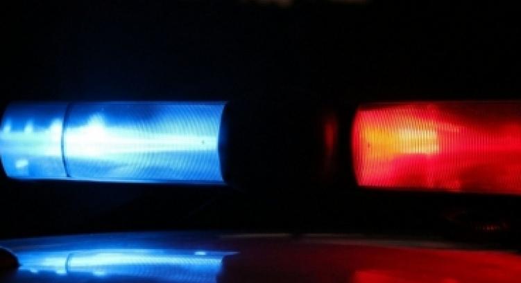 Őzet gázolt egy autó a 86-os főúton