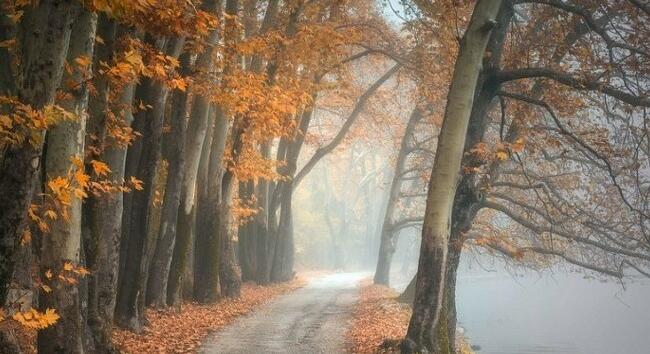 Szombaton látjuk már végre a napot? Időjárás-előrejelzésünkből kiderül