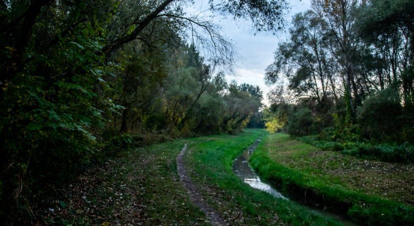 Háromezer lakásos lakóparkot épít Tiborcz István volt üzlettársa a XV. kerületbe