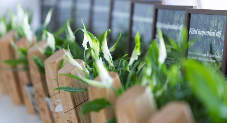 Mivel nyertek a Föld bajnokai?