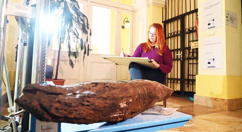 Két különleges maradványt emeltek ki a Tiszából, meglepő műveletbe kezdtek a múzeumban